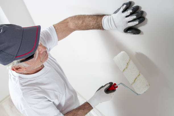 Best Basement Mold Removal  in Mount Carmel, IL