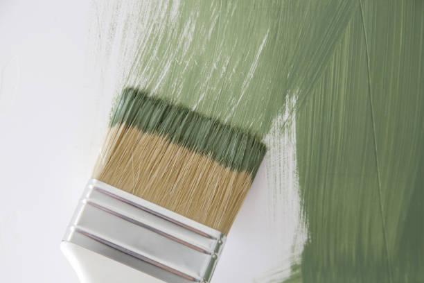 Best Mold Damage Restoration  in Mount Carmel, IL