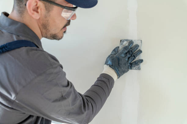 Best Comprehensive Air Testing for Mold Contaminants  in Mount Carmel, IL