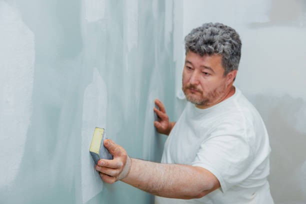 Mold Removal for HVAC Installations in Mount Carmel, IL
