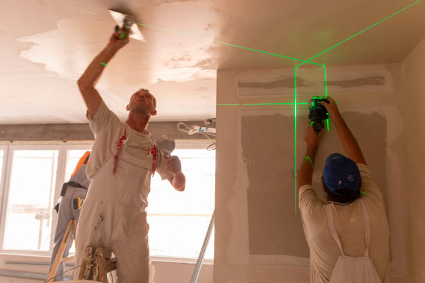 Best Emergency Mold Remediation  in Mount Carmel, IL