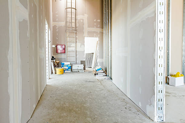 Best Mold Prevention Services  in Mount Carmel, IL