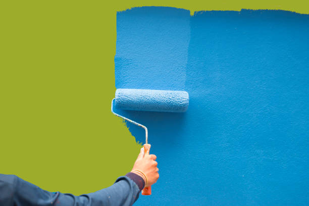 Trusted Mount Carmel, IL Mold Removal Experts