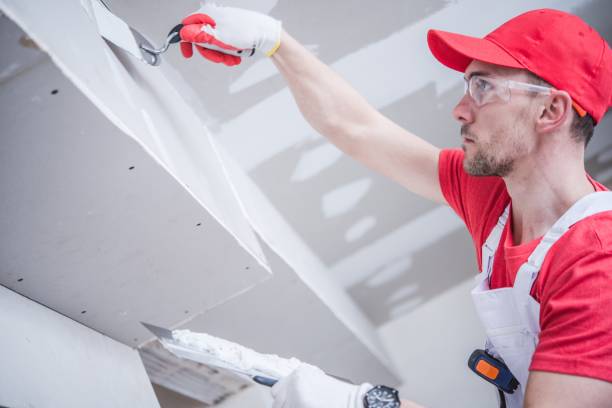 Best Black Mold Removal  in Mount Carmel, IL